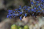 DSC01932.JPG