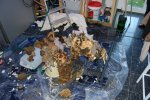 DSC_0694.jpg