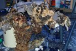 DSC_0695.jpg