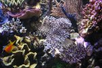IMG_6307.jpg