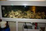 DSC05820.jpg