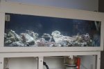 DSC05834.jpg