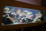 DSC05844.jpg