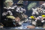 DSC05859.jpg