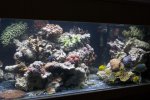 DSC05860.jpg