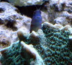 DSC04321.JPG