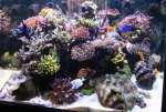 IMG_6528.jpg