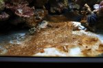 DSC05868.jpg