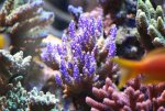 IMG_6531.jpg