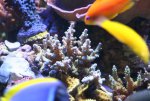 IMG_6549.jpg