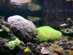 DSC01094.JPG