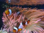 DSC01126.JPG