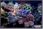 small6mtr 01.JPG