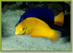 small6 mtr 06.JPG