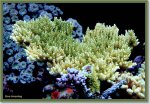 small6mtr 04.JPG