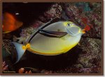 small6 mtr 05.JPG