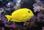 DSC08132.JPG