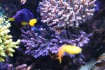 IMG_6730.jpg