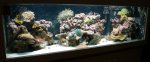 DSC05979.jpg