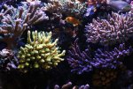 IMG_6784.jpg