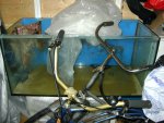DSC01168.JPG