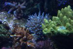 DSC01989.jpg