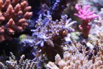 IMG_6949.jpg