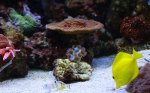 _MG_7212.jpg