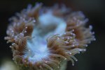 _MG_7256.jpg