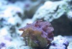 week 24 doopvond met sliert 030.jpg