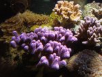 DSC03033.jpg