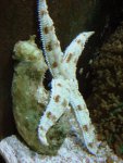 DSC03097.JPG