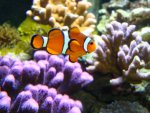 DSC03105.JPG