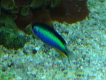 DSC03091.JPG