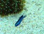 DSC03090.JPG