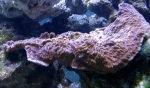 DSC04012.jpg