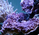 DSC04551.JPG