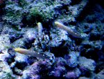 DSC04527.jpg