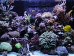 DSC03331 (Medium).JPG