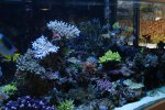 DSC02037.JPG
