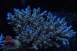 DSC02046.jpg