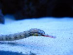 DSC04660.jpg