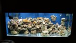 Dsc02251.jpg