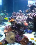 IMG_1704.JPG
