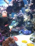IMG_1705.JPG