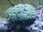 IMG_6319.jpg