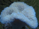 IMG_6330.jpg