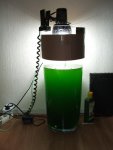 plankton.jpg