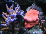 Afbeelding 340.jpg