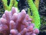SDC12087.jpg